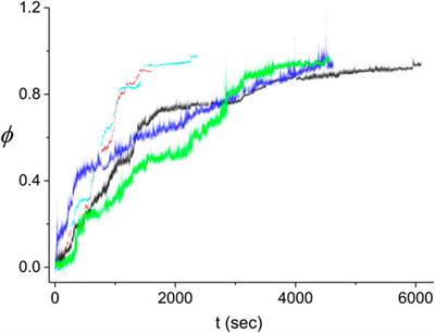 Single Molecule Study of the Polymerization of RecA on dsDNA: The Dynamics of Individual Domains